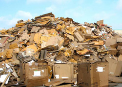Reduce Cardboard Waste